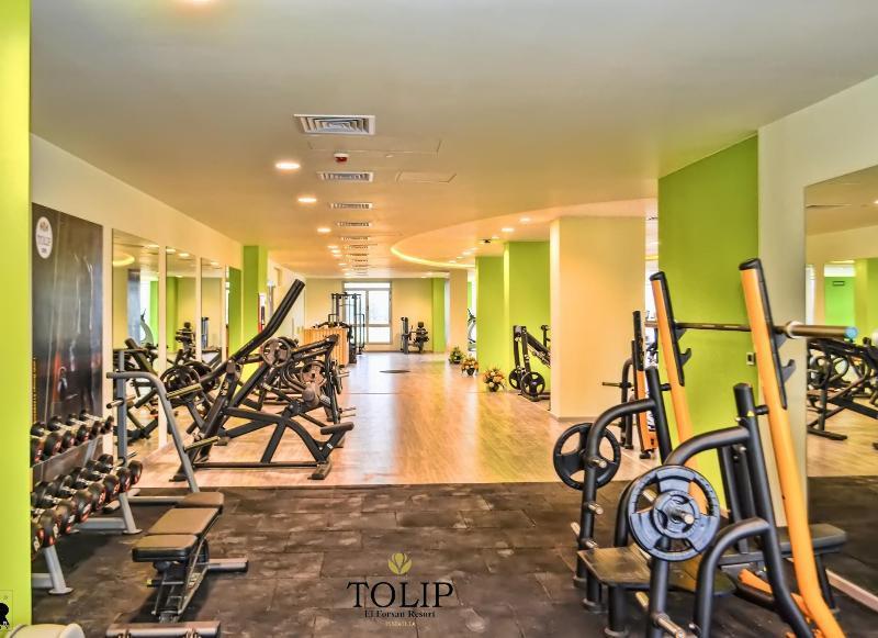 Tolip El Forsan Hotel İsmailiye Dış mekan fotoğraf The gym at Tulip Inn